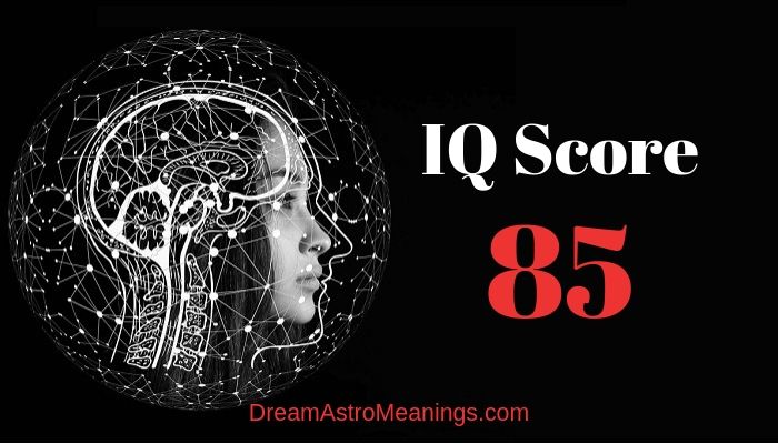 IQ 85 – Score Meaning