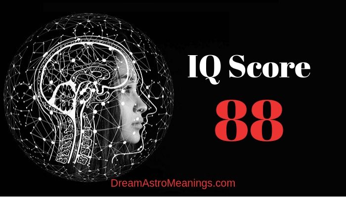 iq-88-score-meaning