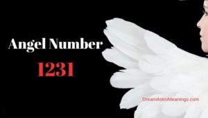 1231 Angel Number  Semnifica ie  i simbolistic Grain of sound