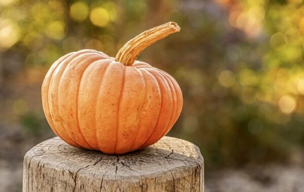 Pumpkin Dream Meaning And Symbolism