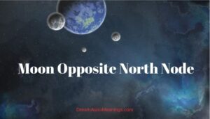 moon trine north node synastry